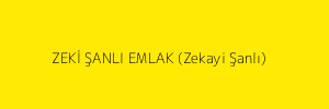 ZEKİ ŞANLI EMLAK (Zekayi Şanlı)